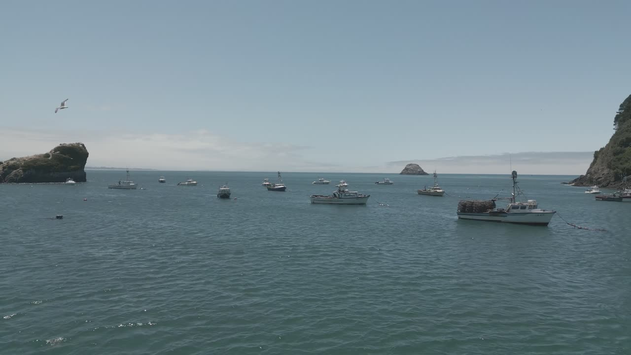 dolly push-in cinematic shot of the bay with group of boats anchored to the sea bottom