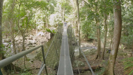 middle aged man walks over suspension bridge over fast flowing mountain creek in a rainforest. beautiful queensland landscape