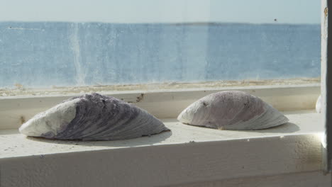 Una-Ventana-En-Una-Cabaña-Junto-Al-Mar-Adornada-Con-Conchas-De-Mejillones-Con-El-Océano-Afuera-En-Un-Día-Soleado