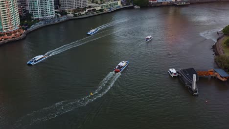 aerial shot drone following the trail of a citycat catamaran ferry on brisbane river, tilt up reveals iconic landmark story bridge and cityscape of inner city suburbs with beautiful sunset sky