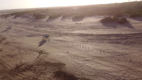 Aerial-orbit-shot-of-couple-walking-on-sandy-beach-during-sunset-time---Romantic-vacation-vibes-in-Argentina