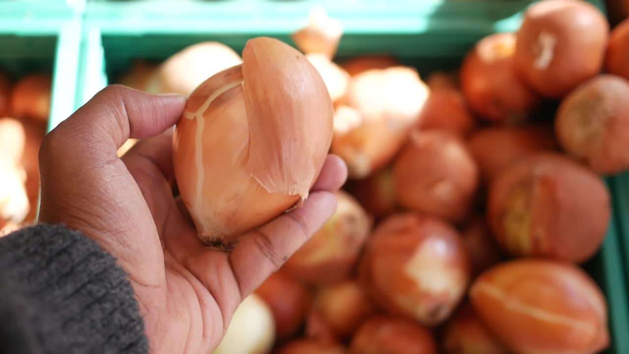 mano sosteniendo una cebolla fresca en un mercado de agricultores