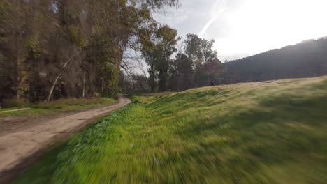 the sun sets on an olive grove outside the city of jaén, spain in a fast-moving drone shot down a dirt road