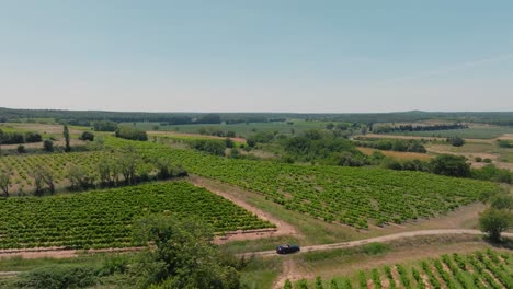 Toma-Aérea-Ascendente-De-Un-Automóvil-Pequeño-Conduciendo-Por-Campos-De-Viñedos-En-Francia