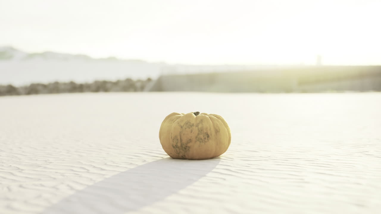해변 에서 황금 시간 동안 모래 지형 에 휴식 하는 빛 을 받은 호박