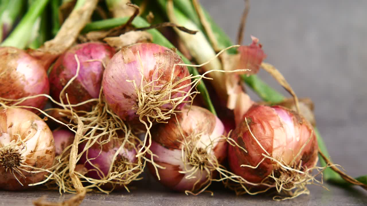 뿌리가 있는 신선한 샤롯