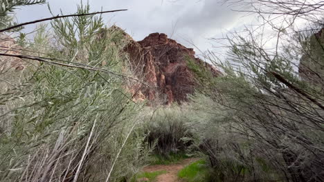 Spaziergang-Durch-Büsche-Zu-Einem-Berg-Im-Grand-Canyon-Nationalpark