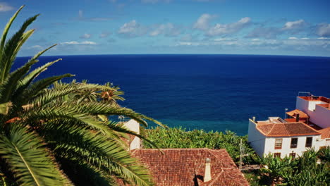 drone aéreo disparado sobre la costa de la palma, islas canarias, españa. alta vista del océano turquesa, costa accidentada, plantaciones de plátanos y la pequeña ciudad local. destino de vacaciones de verano.