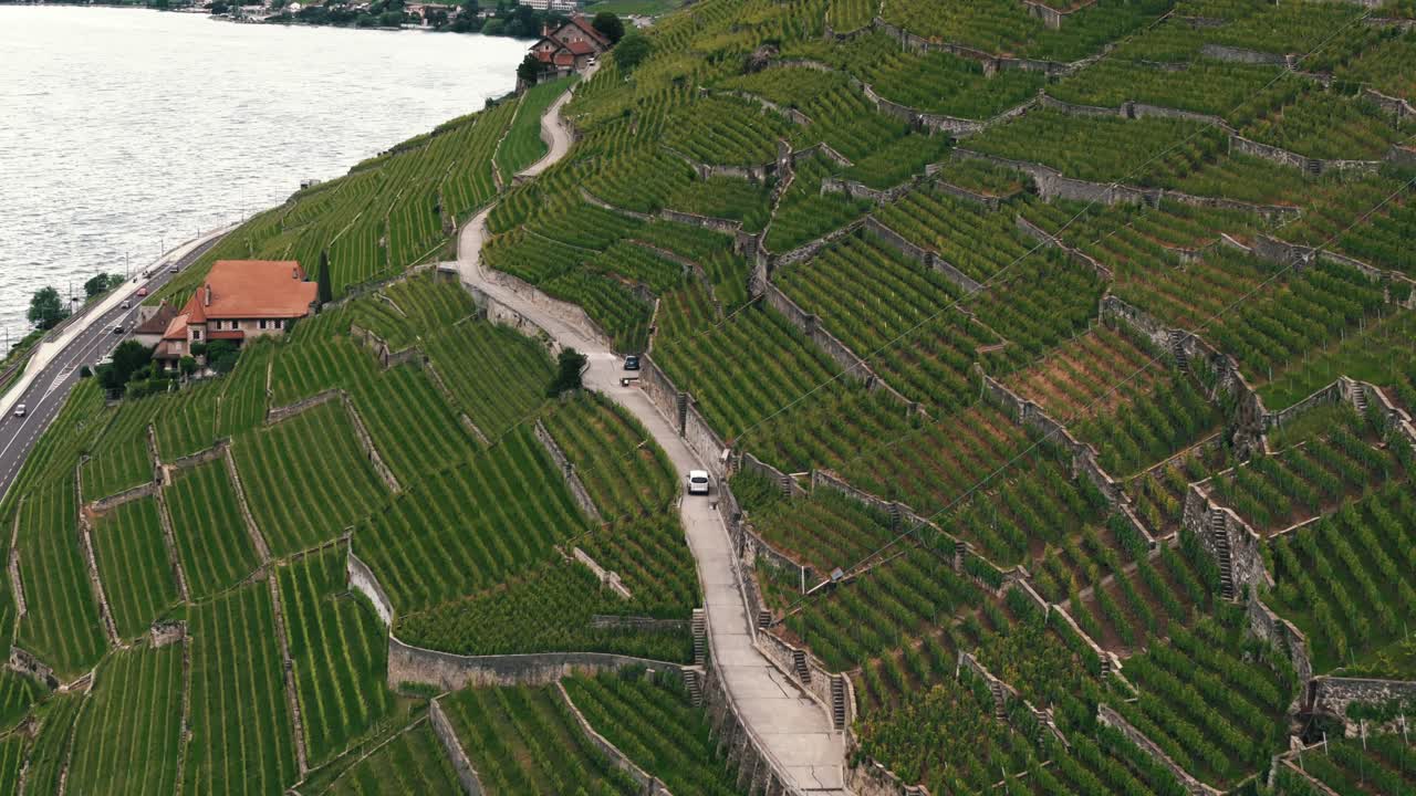 Furgone su strada tortuosa attraverso i vigneti di Losanna e il Lago di Ginevra