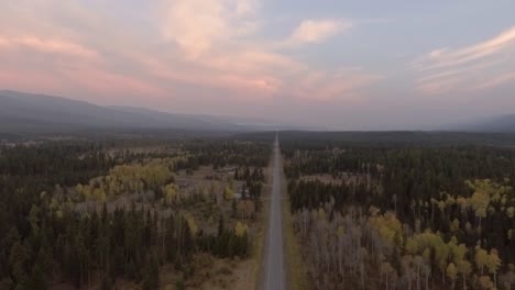 Flying-over-a-green-forest,-the-sunrise-begins-to-peak-through-the-distant-mountains