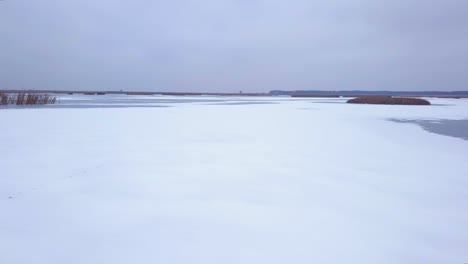 vista aérea del lago congelado liepaja durante el invierno, hielo azul con grietas, islas secas de juncos amarillentos, día de invierno nublado, disparo de drones anchos y bajos avanzando rápidamente