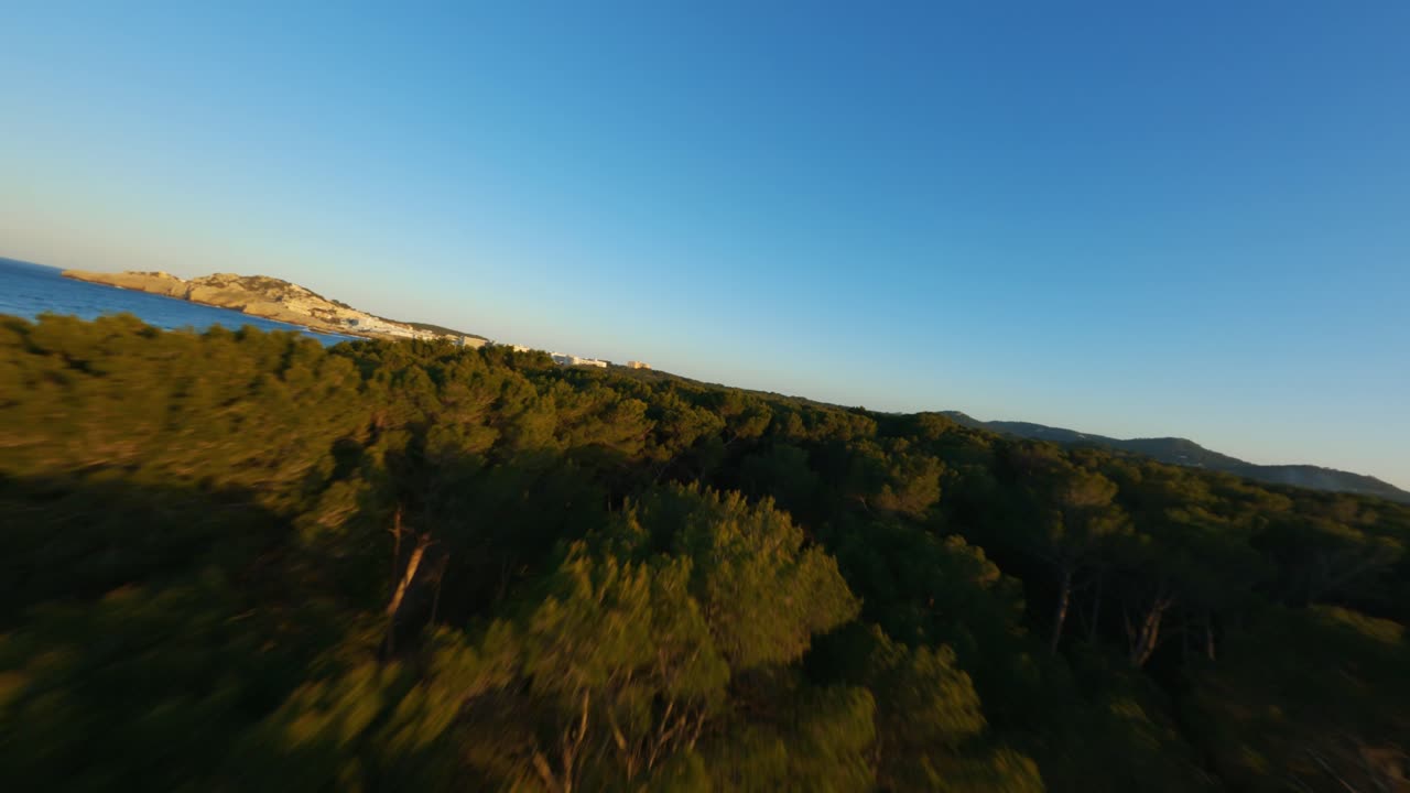 Drone FPV che vola sopra le cime degli alberi sulla spiaggia durante l'ora d'oro al tramonto, con cieli spettacolari e le splendide acque dell'oceano.