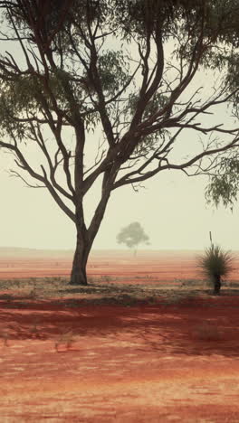 un solo árbol en un campo de tierra roja