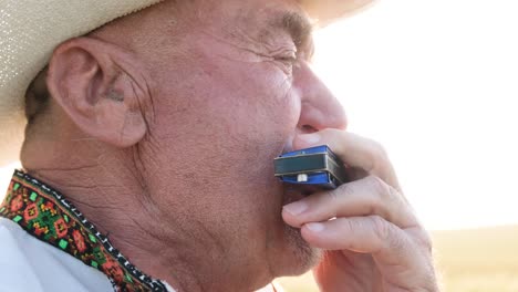 an old ukrainian grandfather plays the harmonica he is dressed in an embroidered jacket an old ukrainian grandfather plays the harmonica he is dressed in an embroidered jacket old grandfather in the wheat field