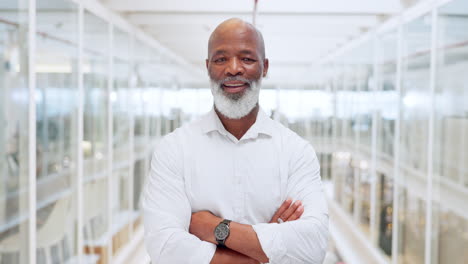 liderazgo, negocios y rostro del hombre negro