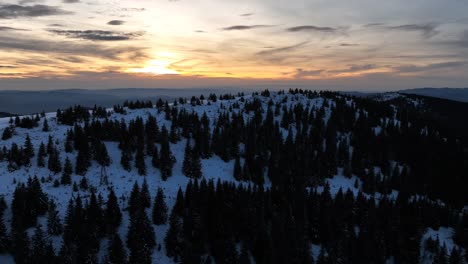 Low-altitude-flying-above-a-beautiful-forest-in-the-sunset-time