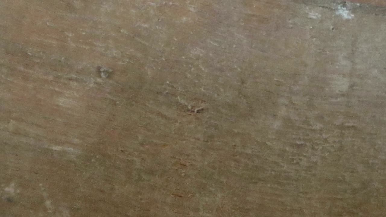 fondo de textura de madera animada útil para efectos de películas antiguas utilizando la herramienta de opacidad o luma matte