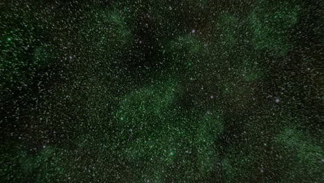 stars dance across vibrant green and black background