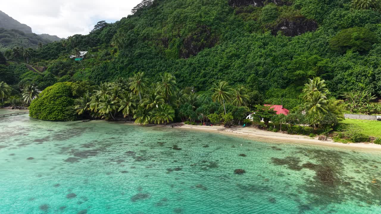 Drone Shot, Tropical Paradise of French Polynesia. Sandy Beach, Corals and Homes Hidden Behind Palm Trees