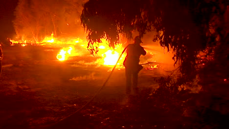 los bomberos trabajan arduamente para contener los incendios forestales que se descontrolan durante el incendio de thomas en el condado de ventura, california