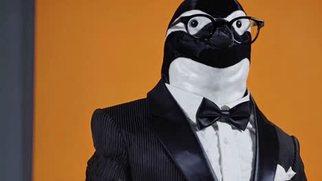 penguin in a tuxedo