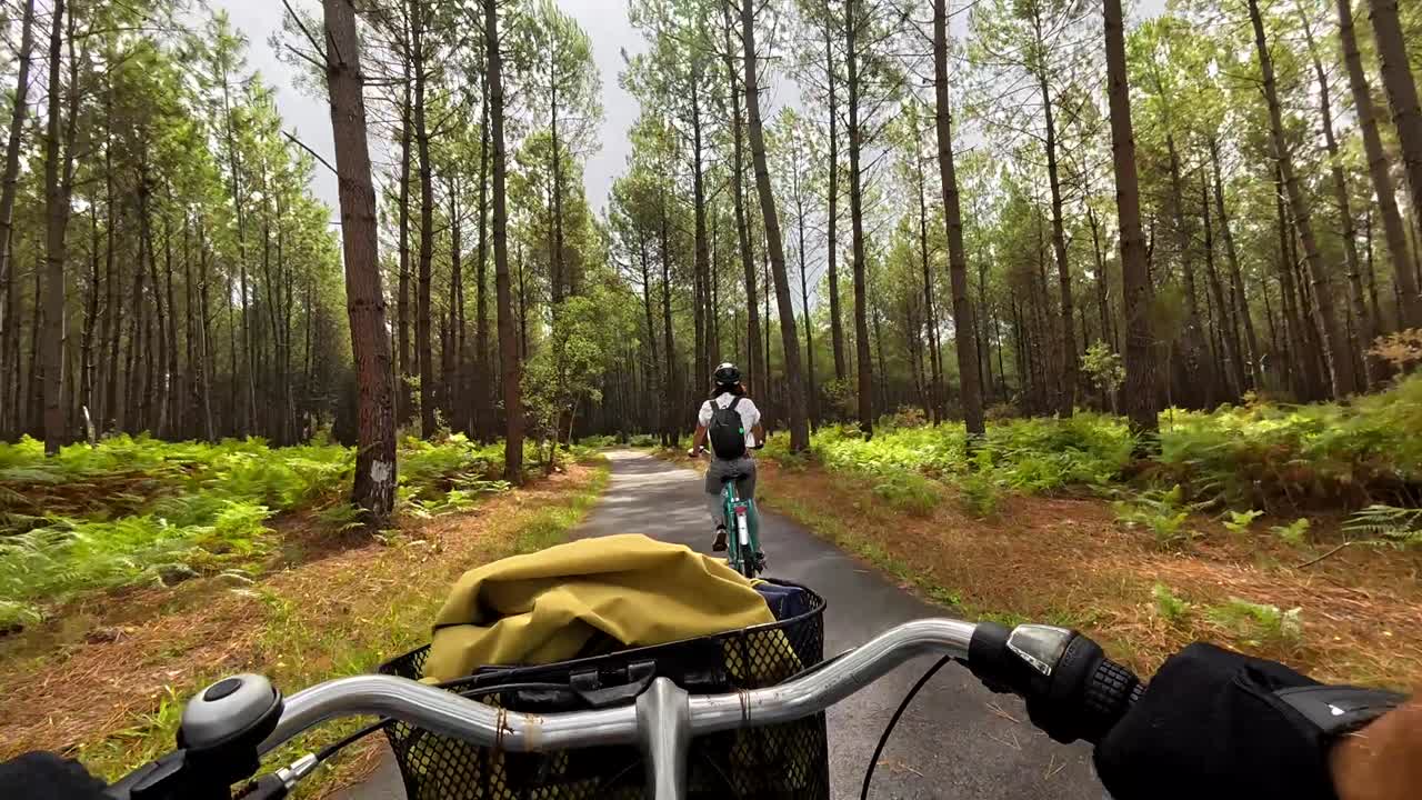Ponto de Vista: Pedalando por uma Floresta de Pinheiros em uma Trilha Pavimentada