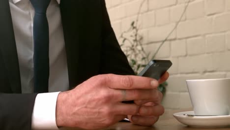 handsome businessman using his smartphone