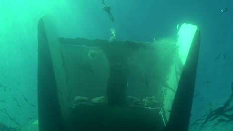 velero visto desde abajo