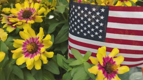 Bandera-Americana-Dentro-De-Zinnias-Amarillas-En-El-Verano