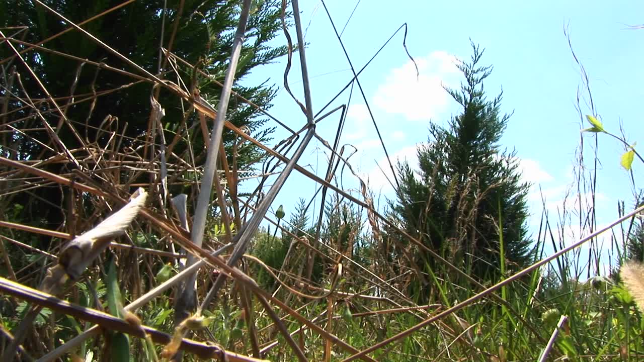 un hombre segando con un pequeño tractor pasa frente a la cámara