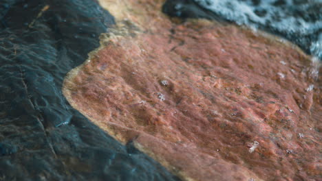 surface of stone washed by clear sea water