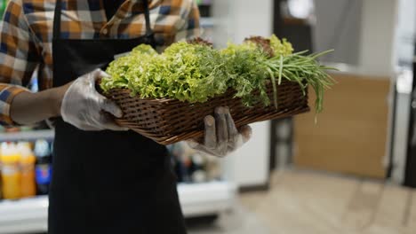 Trabajador-Masculino-Irreconocible-Con-Guantes-En-La-Tienda-Camina-Con-Una-Canasta-Llena-De-Verduras