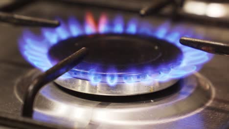 a fire lights up in the burner of the gas stove.