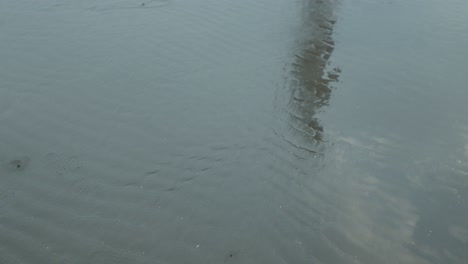 handheld shot of calm reflecting waters while a young woman walks along the beach and reflects in the water during her summer vacation