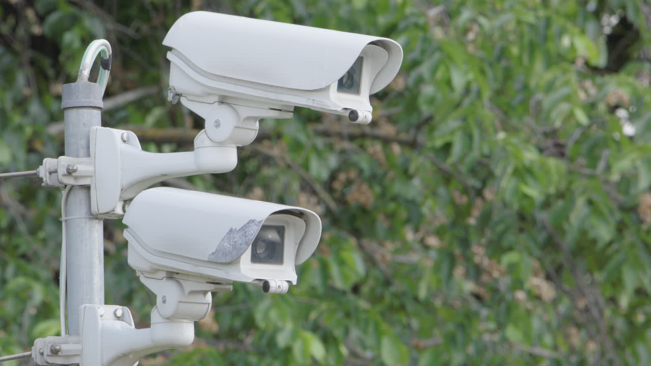 enfoque del estante hacia dos cámaras de vigilancia de seguridad de cctv contra el follaje verde