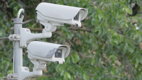 rack focus toward two cctv security surveillance cameras against green foliage