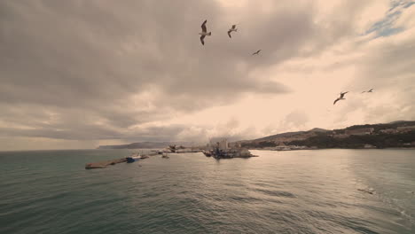 Cruise-ship-leaving-the-italian-harbour-of-Savona,-with-many-seagulls-flying-around