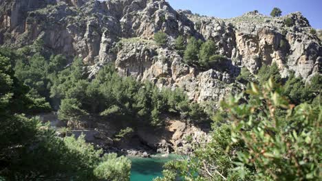 coastal mountain scenery with pine trees and water