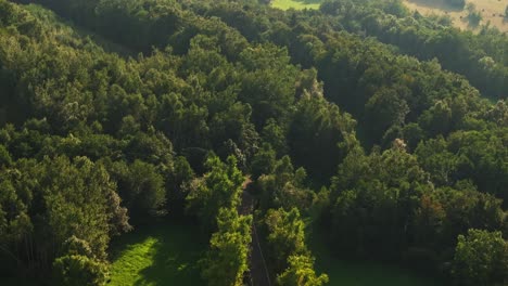 Nuestra-Colección-De-Material-De-Archivo-De-Naturaleza,-Bosque,-Madera-Y-Verde-Es-La-Manera-Perfecta-De-Incorporar-La-Belleza-Y-La-Tranquilidad-De-La-Naturaleza-A-Sus-Proyectos-De-Video.