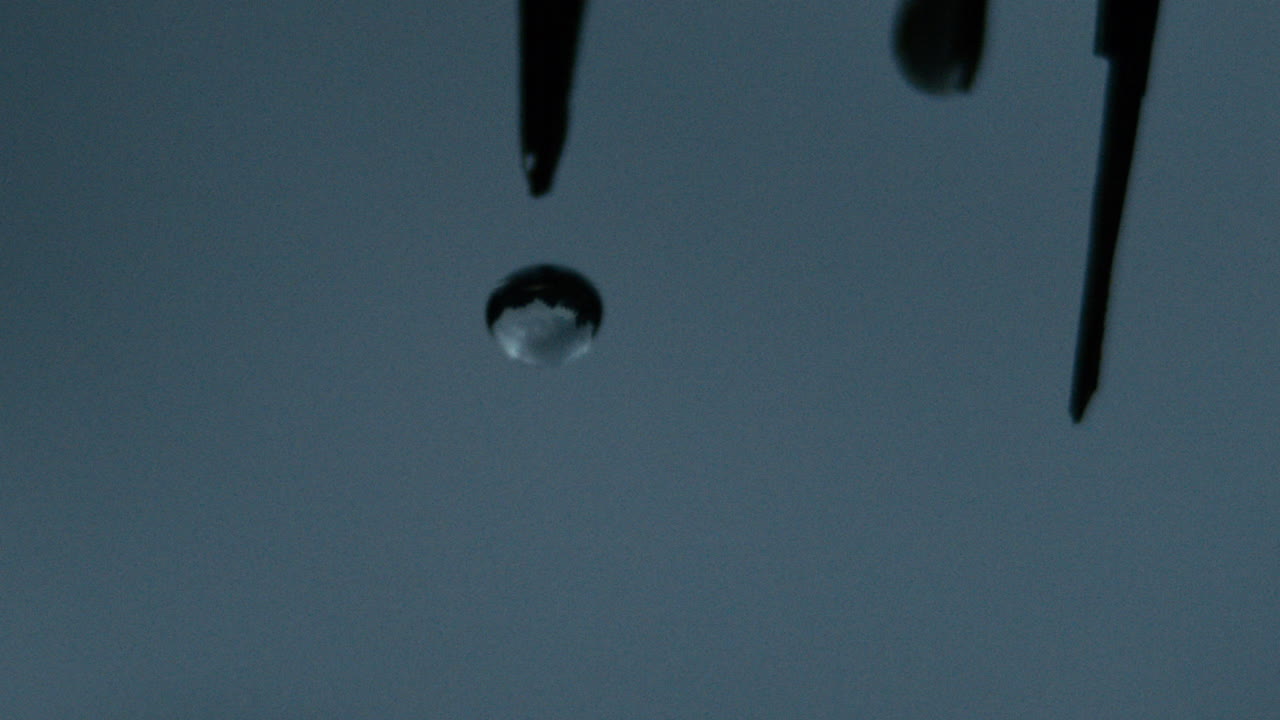 Single raindrop clings to palm before falling in slow motion, storm in background