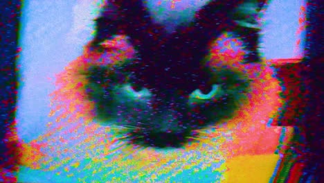 Textur-Glitch-Kitty-Katze-Retro-Geräuschmuster-Siamkatze