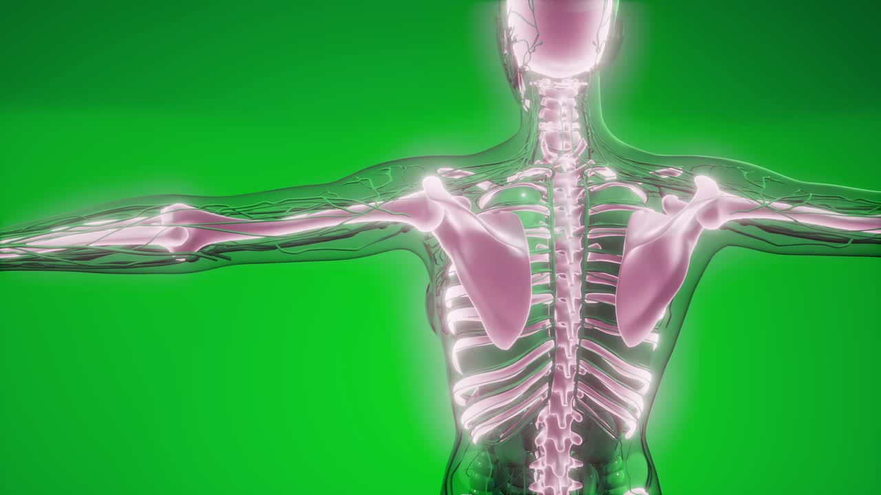 눈에 띄는  ⁇ 가 있는 투명한 인간 몸