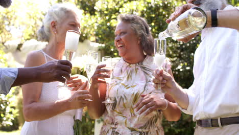 celebrating at outdoor wedding, senior friends toasting with champagne and smiling together
