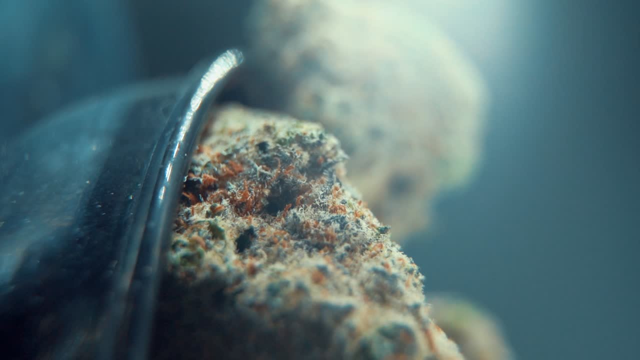 A vertical macro cinematic detailed shot of a cannabis plant, hybrid orange strains, sativa ,marijuana flower, on a rotating stand, Full HD, super slow motion 120 fps, pro studio lighting