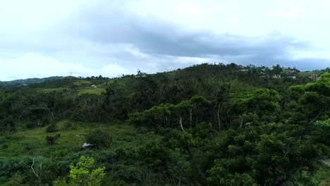 Driving-towards-El-Junque-national-park-in-Puerto-Rico