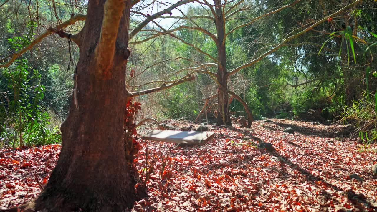 A peaceful campsite with Swing on the banks of the Jordan River