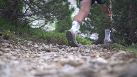 Legs-of-a-hiker-or-mountain-runner,-muscular,-crossing-a-stone-trail-with-green-vegetation-on-the-sides