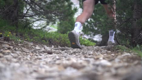 legs of a hiker or mountain runner, muscular, crossing a stone trail with green vegetation on the sides