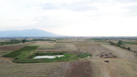 Steady-4K-clip-over-the-countryside-and-vineyards-in-close-to-the-village-Choristi,-in-Drama,-Greece