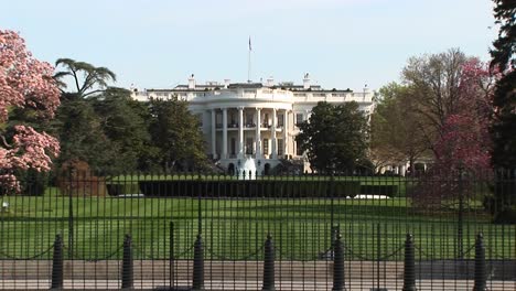 longshot of the white house in spring